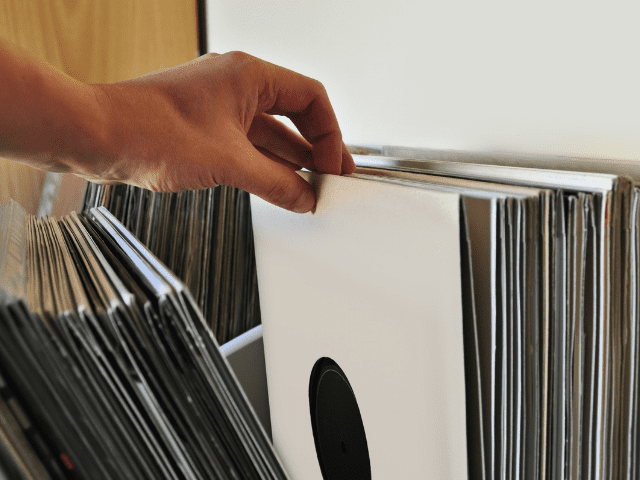 Vinyl Records Aligned Standing Up