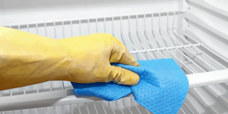 Cleaning an Empty Refrigerator