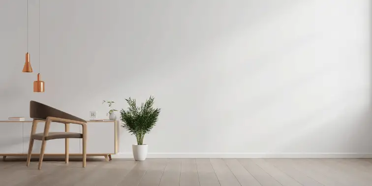 Minimalist Living