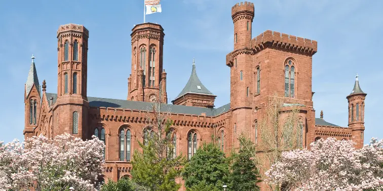 The Smithsonian Institute