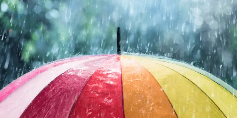 Umbrella in the Rain