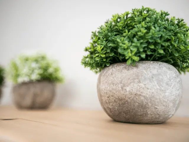 Fake Plants Sitting on a Shelf