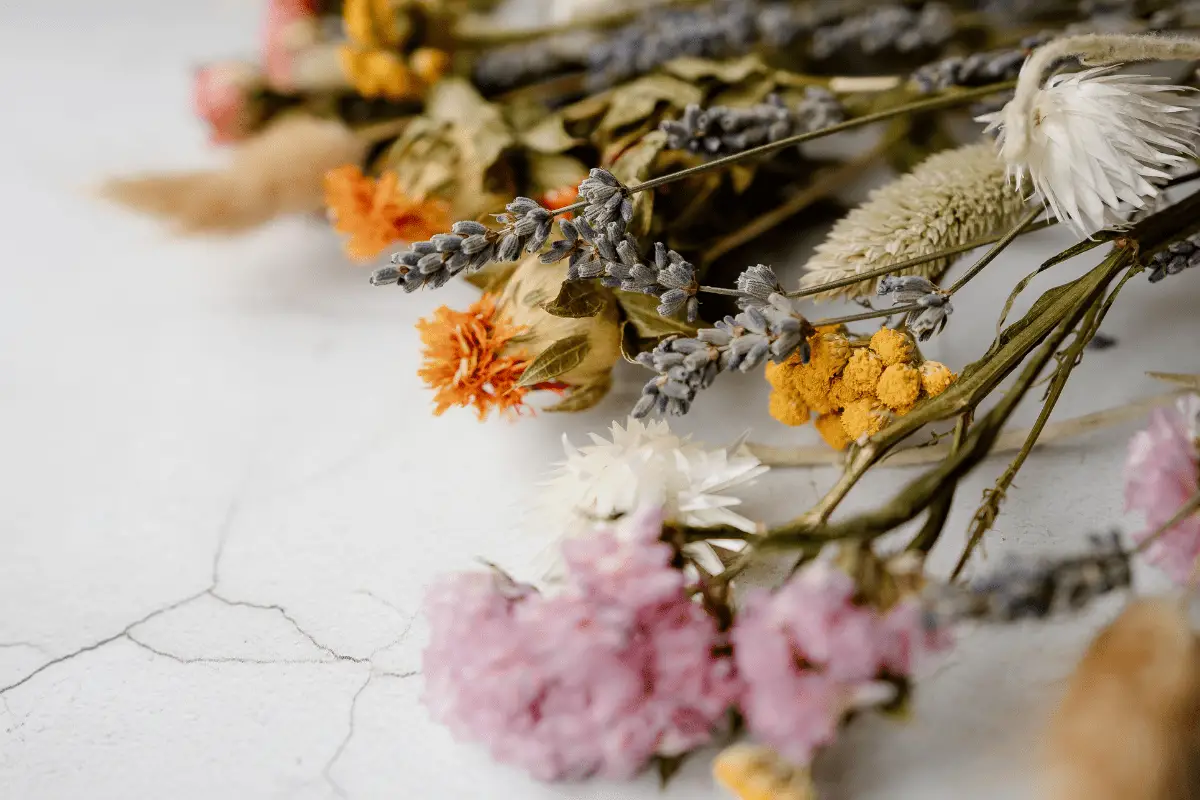 How To Pack Dried Flowers For Moving