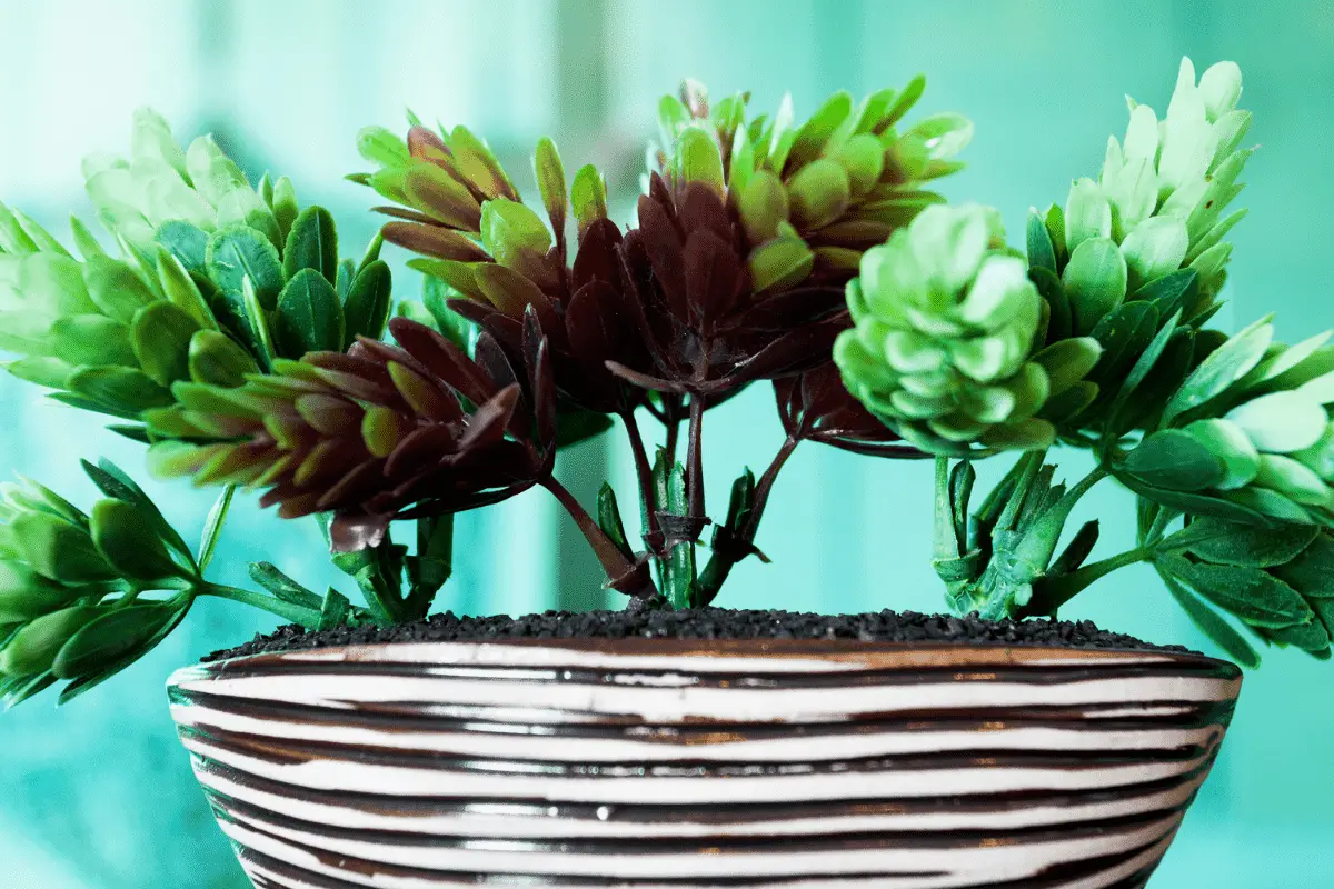 How to Pack Artificial Plants for Moving