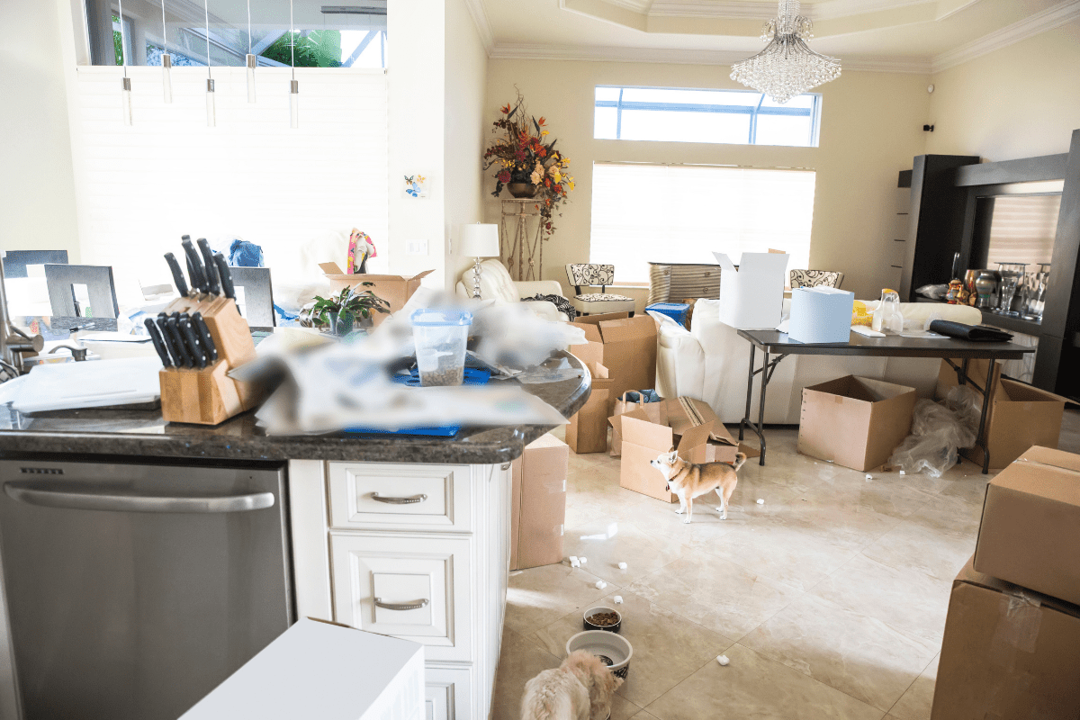 How To Pack a Messy House to Move