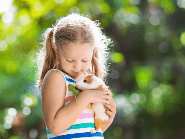 Child with Pet Guinea Pig