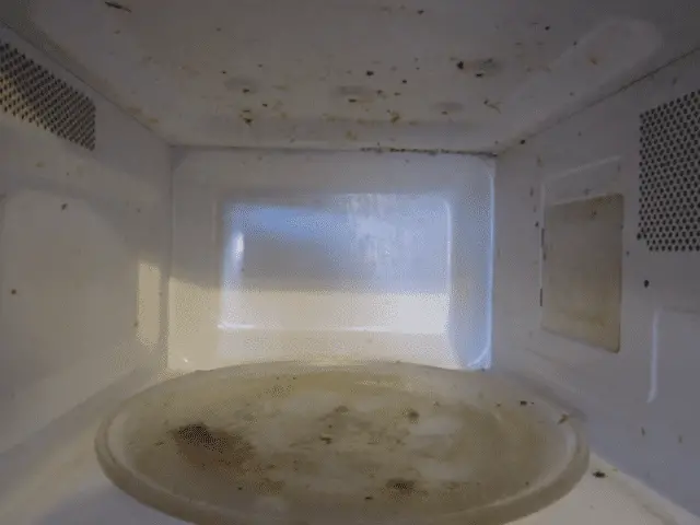 Inside of a Dirty Microwave