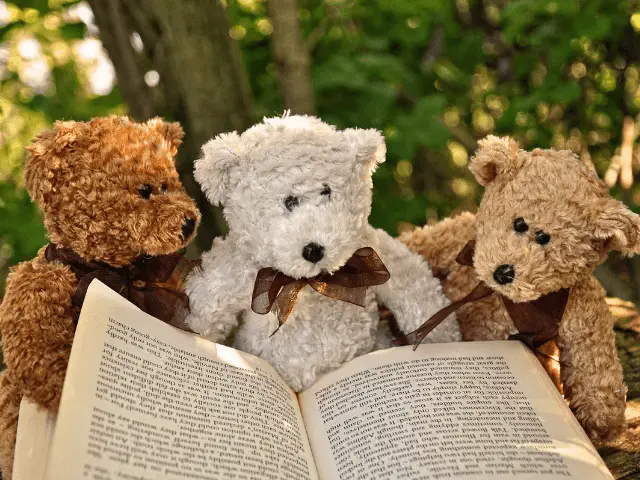 Stuffed Animals Reading a Book
