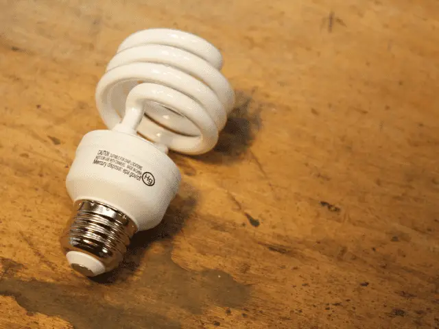 CFL Light Bulb