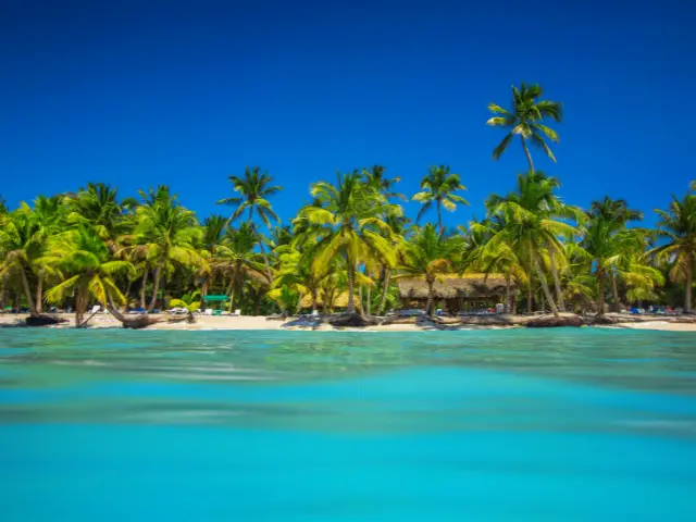 Tropical Beach in Punta Cana