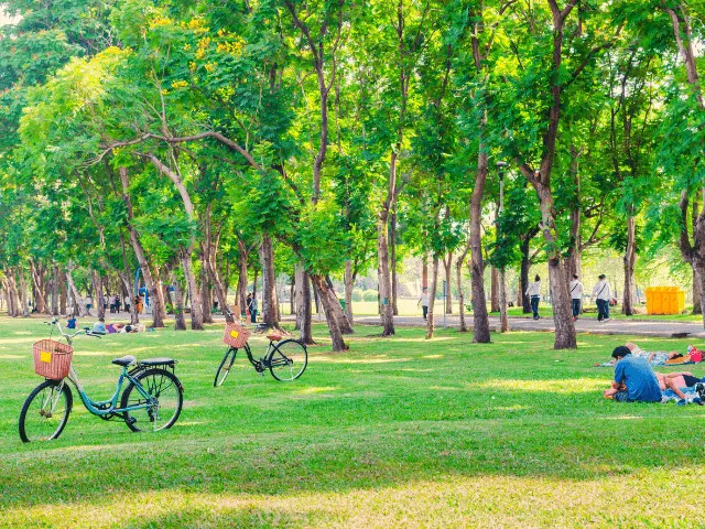 A Local Park